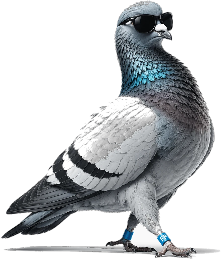 The Famous Pigeon: a grey pigeon in black sunglasses, wearing a sky-blue FP leg band.